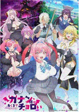 新番更新时段与观看习惯调研